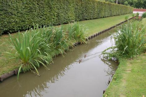 1002888_10201308617614015_1915109332_n