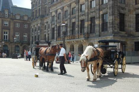 1151077_10201306372437887_691234148_n