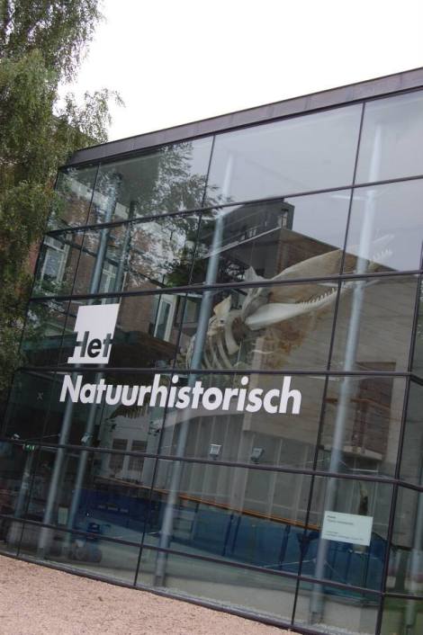 1416_10201308619694067_1815539930_n (1)