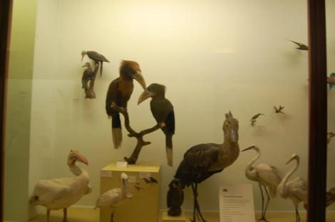 217984_4156884356976_1867520893_n