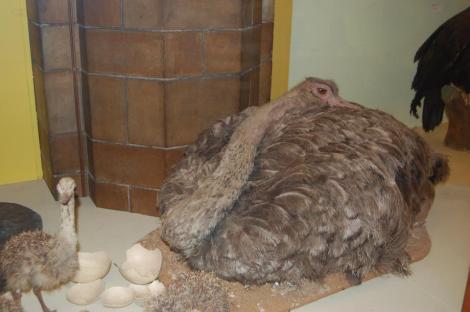 283636_4156888037068_1177433941_n