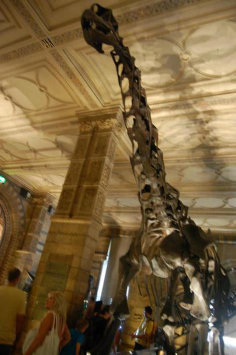 283741_4156896237273_809352423_n