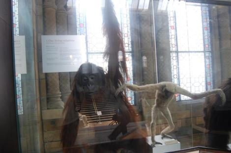 304889_4156951998667_1347180572_n