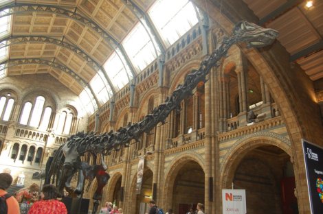 315321_4156881636908_1999595635_n