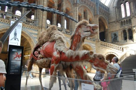 376305_4156881916915_54501915_n