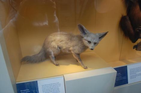 385433_4156939838363_1461797516_n