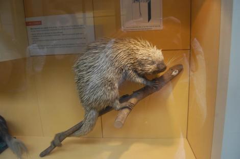 392221_4156940558381_617357649_n