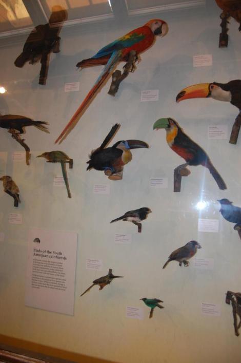 392241_4156888397077_1960988432_n