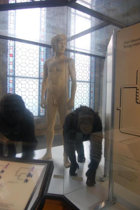 394457_4156949318600_1527642082_n