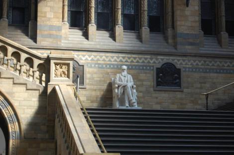 417463_4156882396927_64321480_n