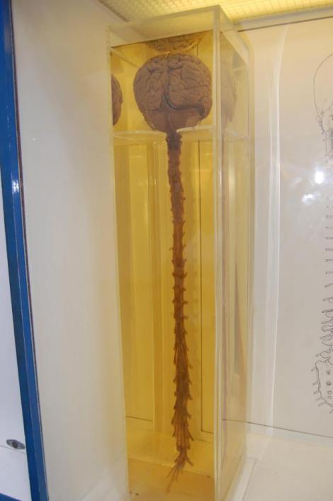 427284_4156939078344_1210950853_n