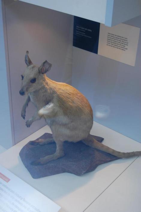 427478_4156941318400_615775832_n