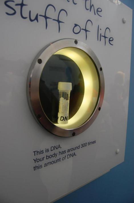 479789_4156935918265_820639728_n