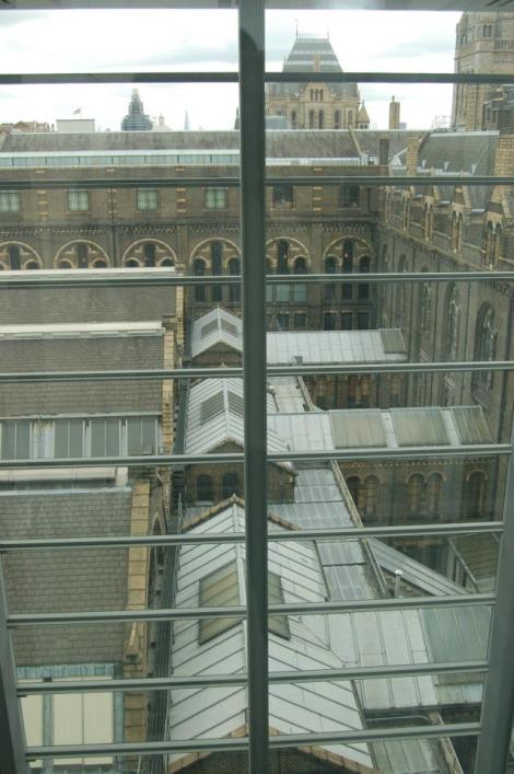 480983_4156931078144_744420849_n