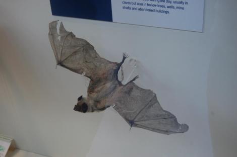 488311_4156943998467_1538073861_n