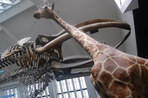 526533_4156945718510_1057696789_n