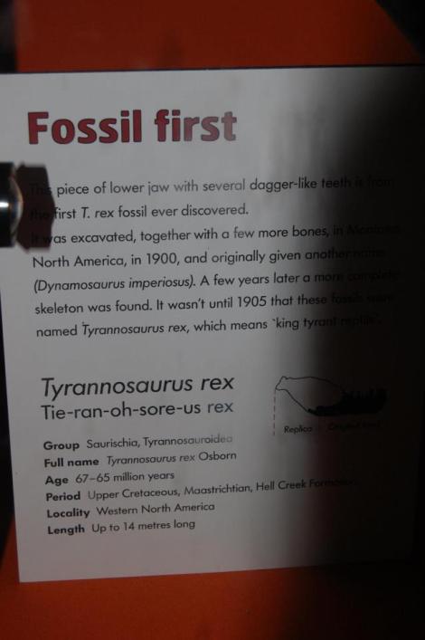 528584_4156927158046_374913692_n