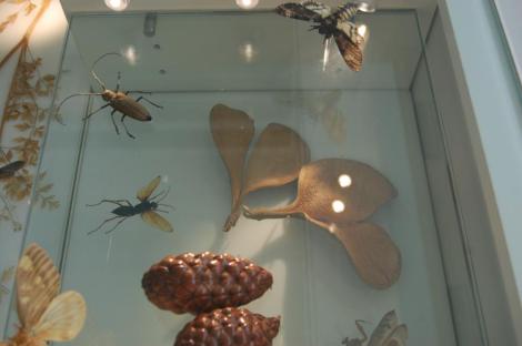 551179_4156930718135_1457348353_n