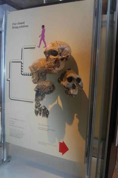 552104_4156949038593_1756043518_n