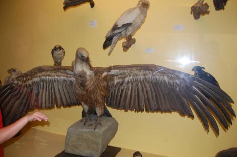 553585_4156884836988_903949586_n