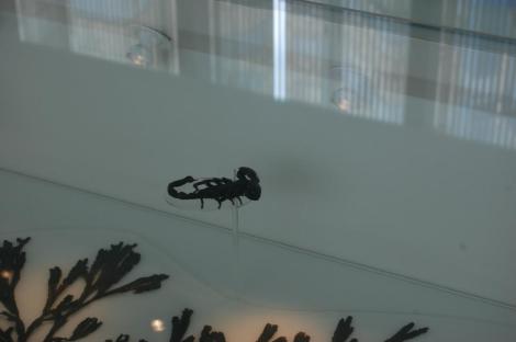 557382_4156930278124_262596583_n