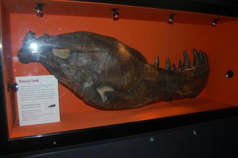 581960_4156926918040_1315362942_n