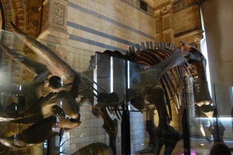 599942_4156896917290_563781307_n