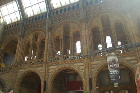 625661_4156882276924_1569608749_n