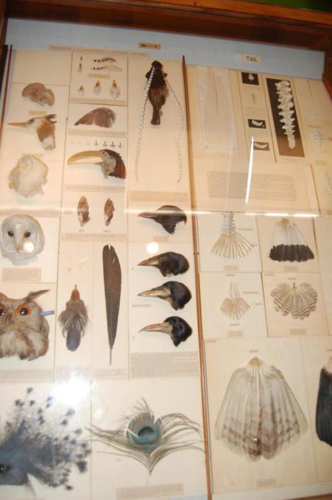 8062_4156888677084_317217688_n