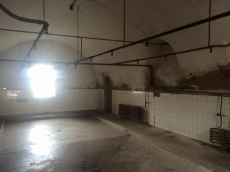 12642603_10207845161703532_2496314881905855102_n