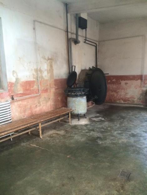 12650872_10207845161783534_5664265469478222946_n