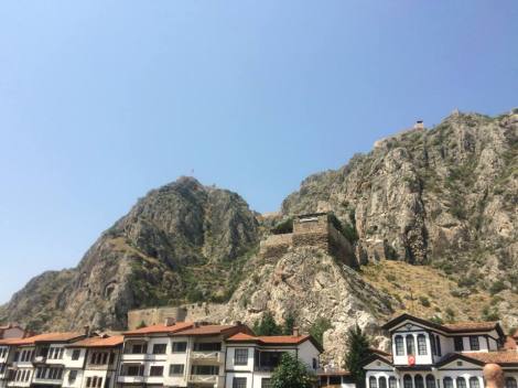 11891188_10206730884567300_1636333794131011009_n