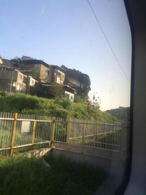 12994551_10208438743182698_5592487319768383245_n