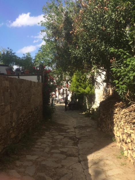 13925153_10209385373687869_8009916221064028814_n