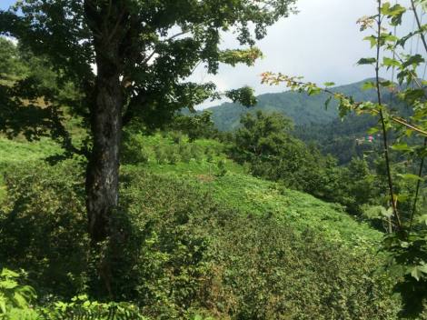 11880662_10206731038131139_3015735818065149171_n