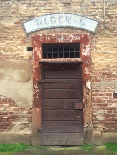 12494975_10207845158823460_7750226887029900211_n