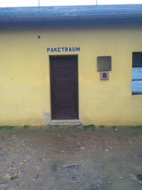 12509621_10207845165263621_8067530813889470912_n