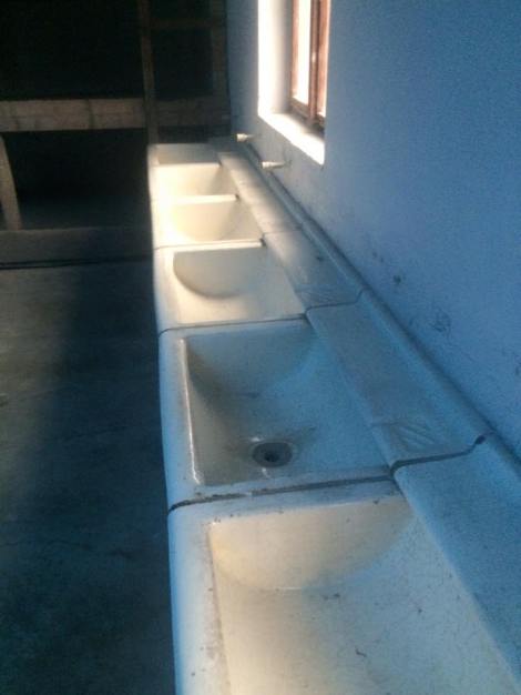 12642889_10207845155543378_6507442398501796924_n