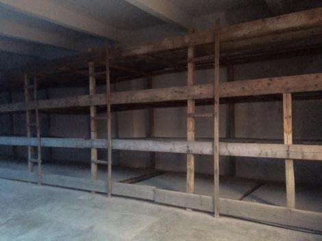 12642945_10207845155503377_1183707914563857098_n